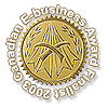 Canadian E-Business Award Finalist 2003